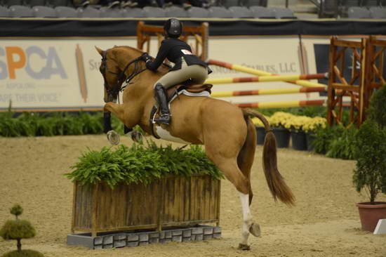 NHS-11-4-12-6722-LaurenHenry-DDeRosaPhoto