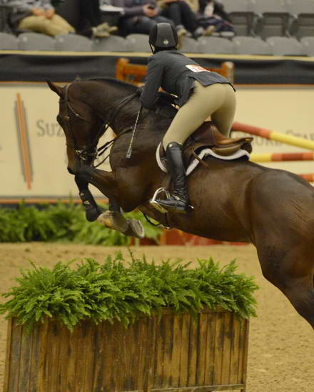 NHS-11-4-12-6847-GenevieveZock-DDeRosaPhoto