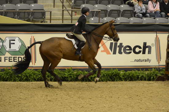 NHS-11-4-12-6868-AlexandraMaracic-DDeRosaPhoto