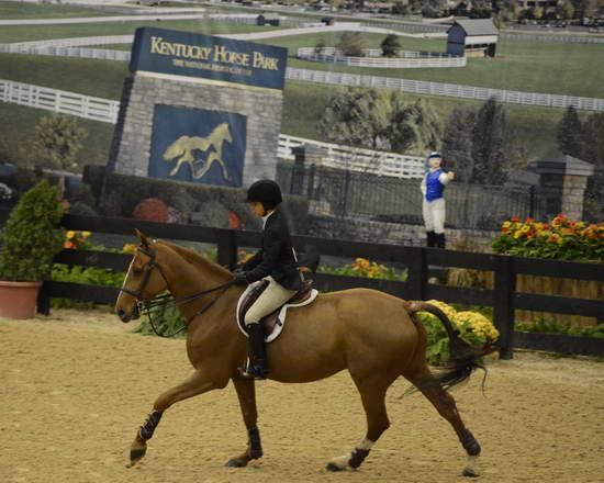 NHS-11-4-12-7020-SylviaDetoledo-DDeRosaPhoto