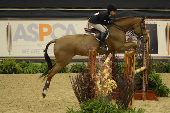 NHS-11-4-12-7025-SylviaDetoledo-DDeRosaPhoto