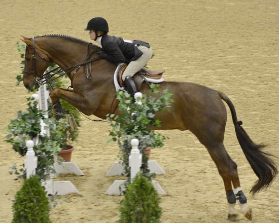 NHS-11-4-12-7059-SchaeferRaposa-DDeRosaPhoto