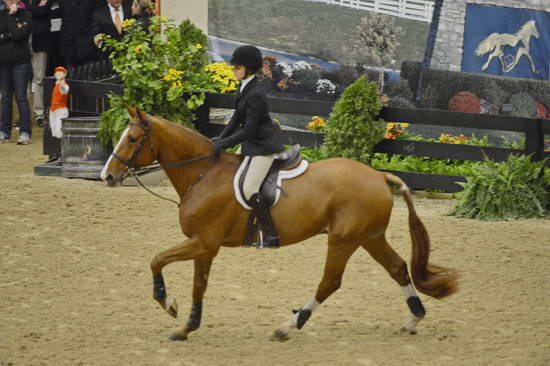 NHS-11-4-12-7195-CatherineTyree-DDeRosaPhoto