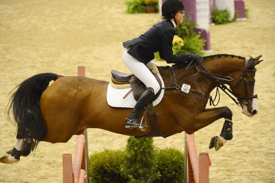 NHS-11-3-12-4879-MegOMara-SinatraIV-DDeRosaPhoto