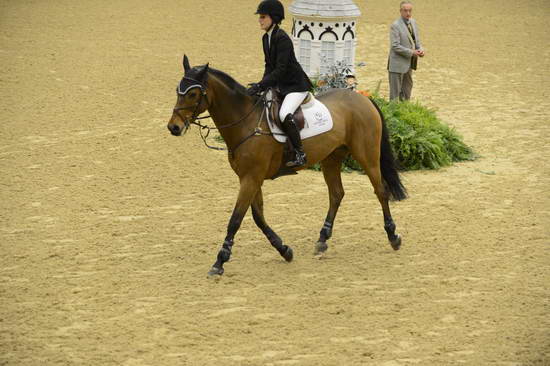 NHS-11-2-12-4051-JessicaSpringsteen-Temmie-DDeRosaPhoto