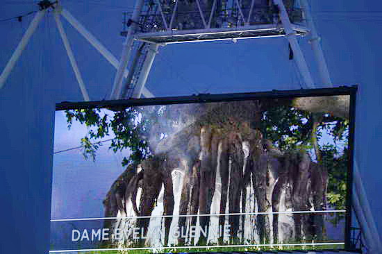 Olympics-OPCeremony-7-27-12-0944-DDeRosaPhoto