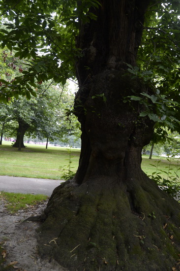 Olympics-7-27-12-0842-DDeRosaPhoto