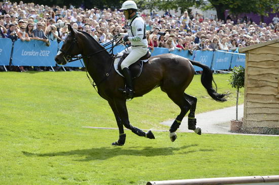 Olympics-EV-XC-7-30-12-5161-AndrewHoy-Rutherglen-AUS-DDeRosaPhoto