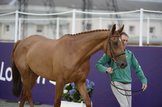 Olympics-EVJg-7-27-12-0467-JosephMurphy-ElectriCruise-IRL-DDeRosaPhoto