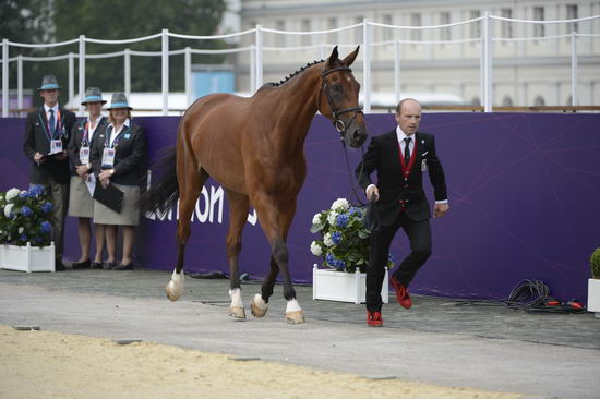 Olympics-EVJg-7-27-12-0518-JorisvanSpringel-LullyDesAulnes-BEL-DDeRosaPhoto