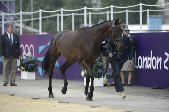 Olympics-EVJg-7-27-12-0653-LudvigSvennerstal-Shamwari-SWE-DDeRosaPhoto