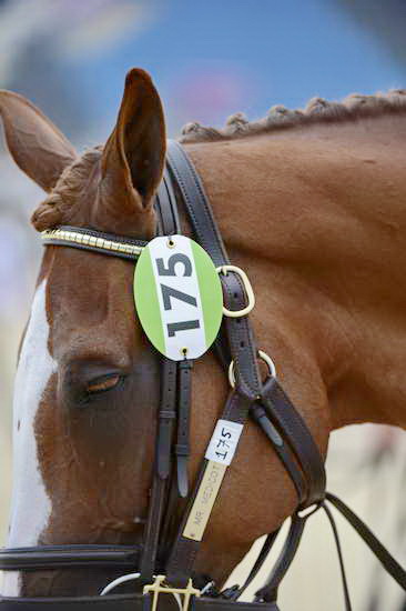 Olympics-EVJg-7-27-12-0324-MrMedicott-DDeRosaPhoto