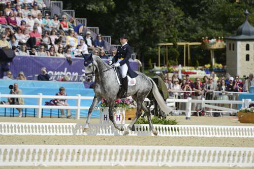 Olympics-EV-DRE-7-28-12-2611-TianaCoudray-RingwoodMagister-USA-DDeRosaPhoto