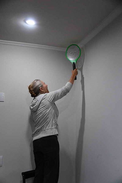 Olympics-7-4-16-0930-CealyTetley-DDeRosaPhoto