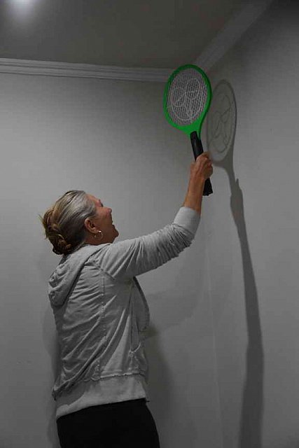 Olympics-7-4-16-0931-CealyTetley-DDeRosaPhoto