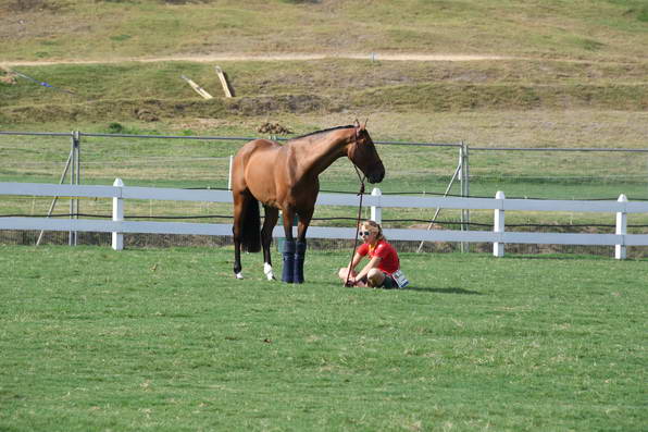 Olympics-7-4-16-0614-DDeRosaPhoto