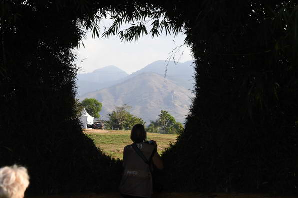 Olympics-7-4-16-0757-DDeRosaPhoto