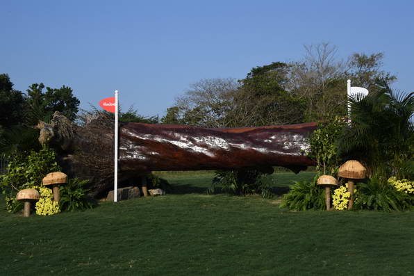 Olympics-7-4-16-0800-DDeRosaPhoto