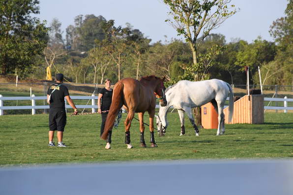 Olympics-7-4-16-0887-DDeRosaPhoto