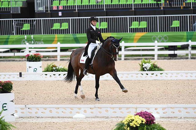 Olympics-RIO-DRE-GP-8-9-16-2566-MeganLane-Caravella-CAN-MeganLane-Caravella-CAN-DDeRosaPhoto