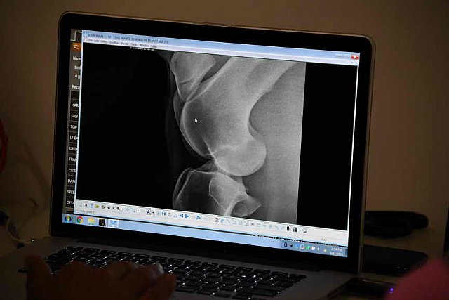 Olympics-RIO-SJ-2ndQual-Rnd1TM-8-16-16-5703-DDeRosaPhoto