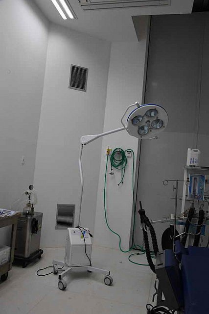 Olympics-RIO-SJ-2ndQual-Rnd1TM-8-16-16-5732-DDeRosaPhoto