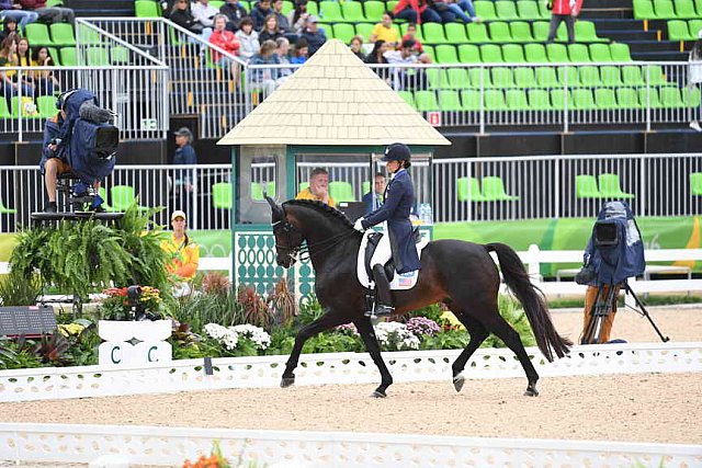 Olympics-RIO-DRE-GP-8-9-16-2682-AllisonBrock-Rosevelt-USA-DDeRosaPhoto