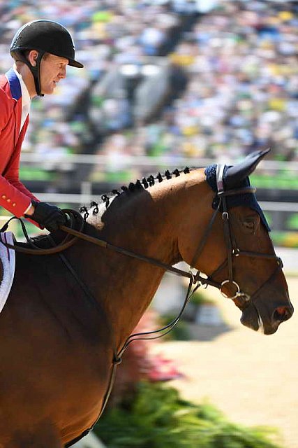 Olympics-RIO-SJ-3rdQual-RND2TM-7596-McLainWard-Azur-USA-DDeRosaPhoto