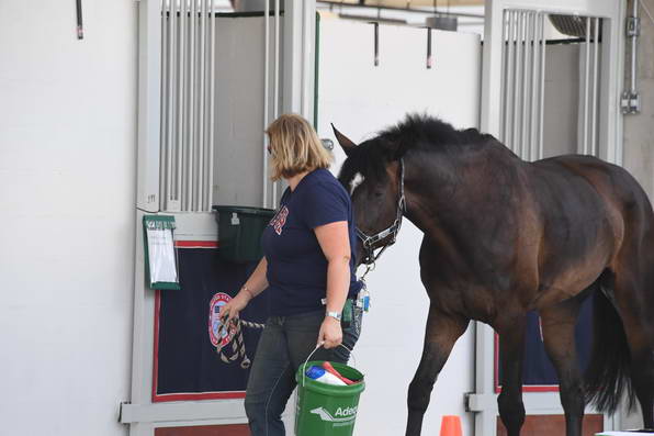 Olympics-7-4-16-0571-DDeRosaPhoto