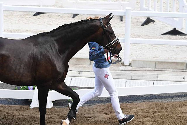 OLY-2020-DRESSAGE-JOG-7-24-21-0815-114-LINDSAY KELLOCK-SEBASTIEN-CAN-DDEROSAPHOTO