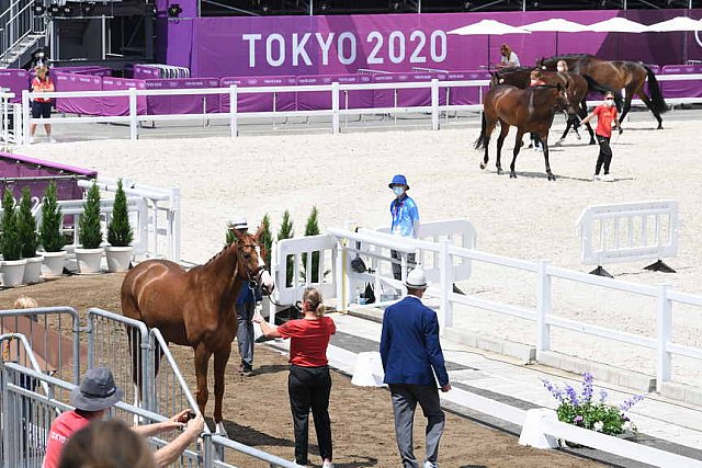 OLY-2020-DRESSAGE-JOG-7-24-21-1044-140-ISABELL WERTH-BELLAROSE 2-GER-DDEROSAPHOTO