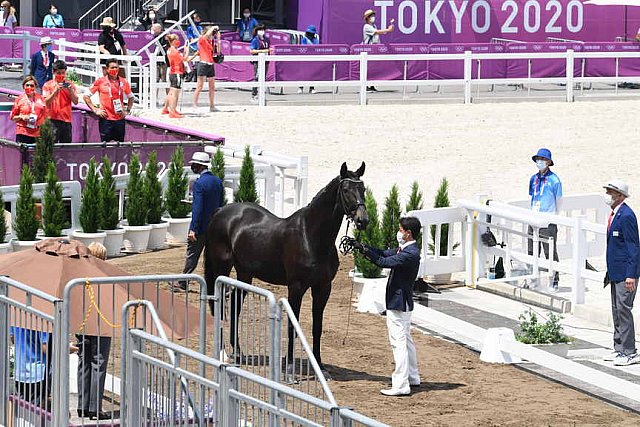 OLY-2020-DRESSAGE-JOG-7-24-21-1117-145-MASANAO TAKAHASHI-RUBICON-JPN-DDEROSAPHOTO