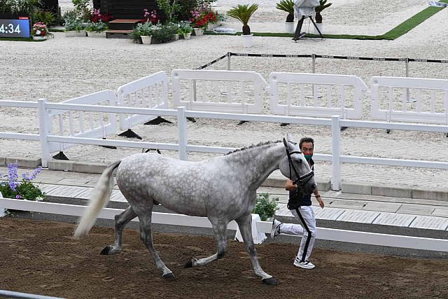 OLY-2020-DRESSAGE-JOG-7-24-21-1259-155-CARLOS PINTO-SULTAO MENEZES-POR-DDEROSAPHOTO