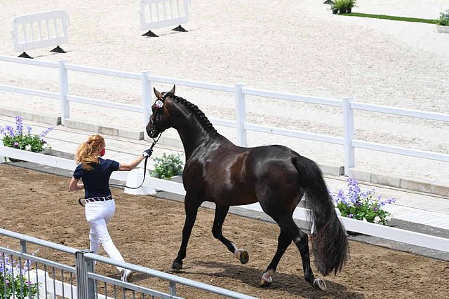 OLY-2020-DRESSAGE-JOG-7-24-21-1494-173-SABINE SCHUT-KERY-SANCEO-USA-DDEROSAPHOTO