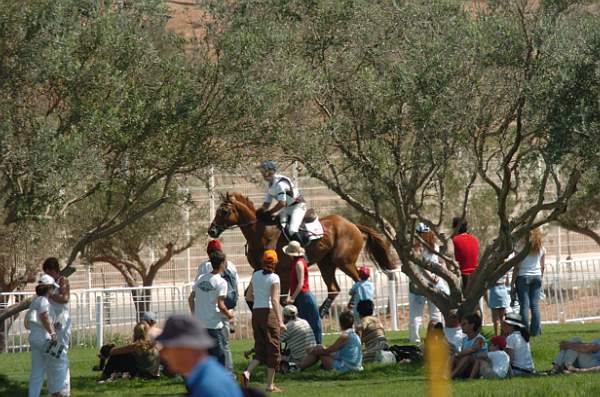 376-Oly-Ev-XX-JohnWilliams-8-17-04-DDPhoto-DSC_0174