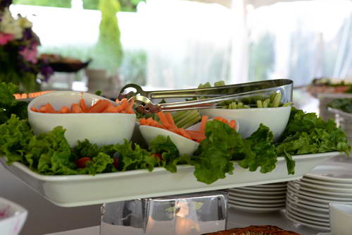 PCLI-6-7-13-AwardsDinner-8455-DDeRosaPhoto