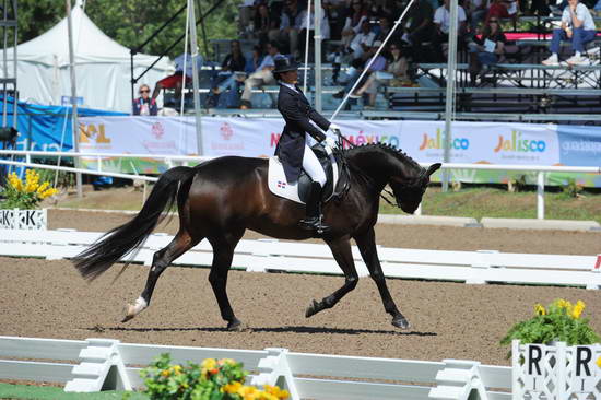 PanAmGames-MX-10-17-11-7535-SamiraUemura-RoyalAffair-DOM-DDeRosaPhoto.JPG