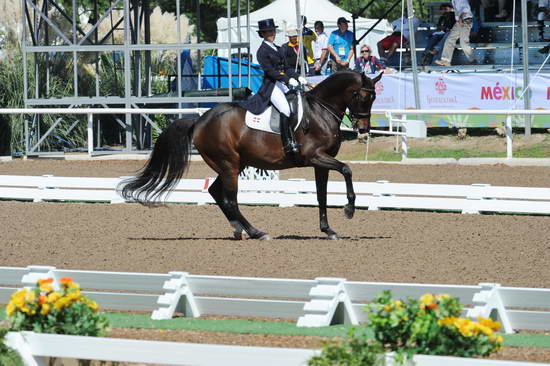 PanAmGames-MX-10-17-11-7574-SamiraUemura-RoyalAffair-DOM-DDeRosaPhoto.JPG