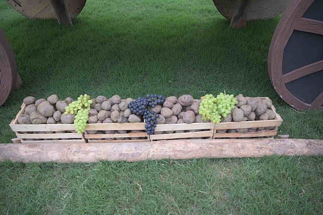 PanAm-Peru-EV-8-1-19-2710-DDeRosaPhoto