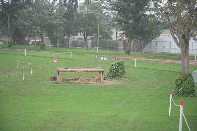 PanAm-Peru-EV-8-1-19-2761-DDeRosaPhoto