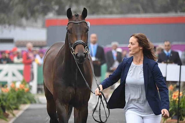 PanAm-Peru-EV-8-1-19-0580-ColleenLoach-FeGoldenEye-CAN-DDeRosaPhoto