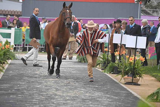 PanAm-Peru-EV-8-1-19-0835-NicolasWettstein-OnziemeFramon-ECU-DDeRosaPhoto