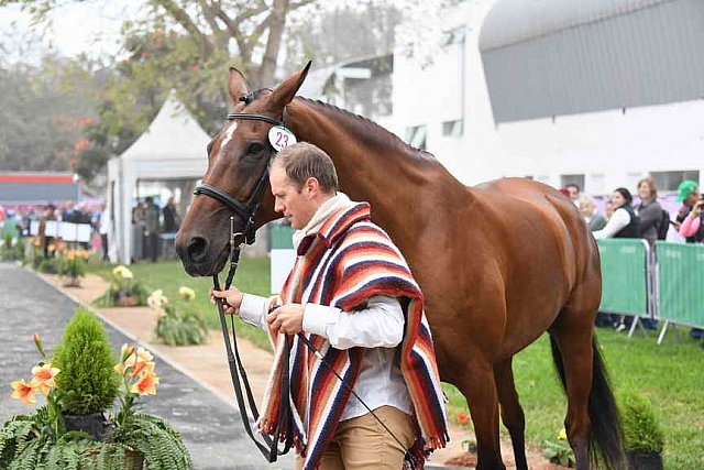PanAm-Peru-EV-8-1-19-0838-NicolasWettstein-OnziemeFramon-ECU-DDeRosaPhoto
