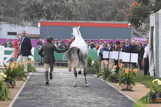 PanAm-Peru-EV-8-1-19-0885-IgnacioZone-RemontaSanJorge-ARG-DDeRosaPhoto