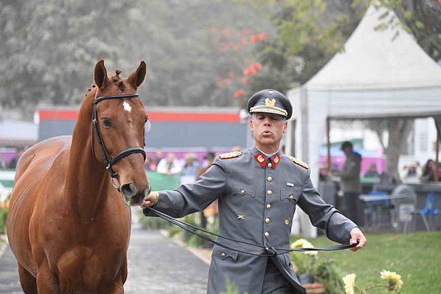 PanAm-Peru-EV-8-1-19-0943-GuillermoGarinHeyermann-Bipolar-CHI-DDeRosaPhoto