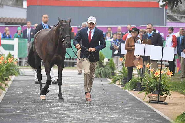 PanAm-Peru-EV-8-1-19-0758-BoydMartin-Tsetserleg-USA-DDeRosaPhoto