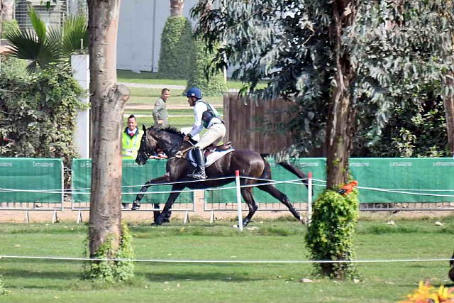 PanAm-Peru-EV-DR-8-3-19-7511-BoydMartin-Tsetserleg-USA-DDeRosaPhoto