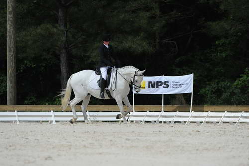 So8ths-5-4-12-Dressage-0776-KaylinMedlin-Watch-Me-Now-DDeRosaPhoto