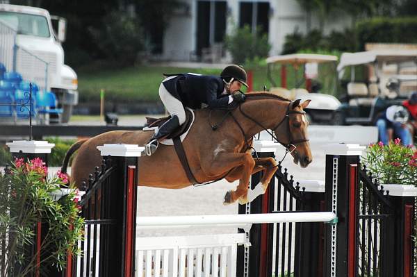 1-433-Fiyero-ElizabethBoyd-Fiyero-ElizabethBoyd-AHJFHunterClassic-2-20-08-RgConfHtr-DeRosaPhoto