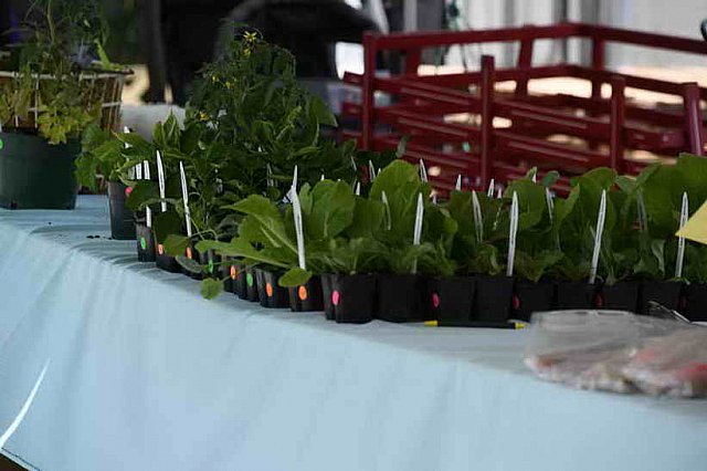 Pleasant-6-22-10-9831-DDeRosaPhoto